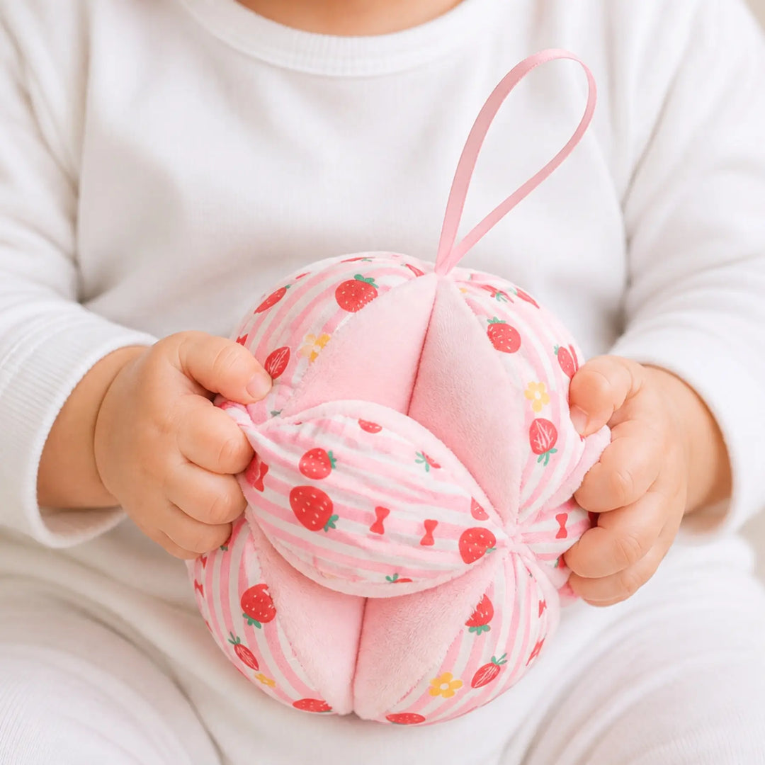 [PRE-ORDER] Baby Montessori Puzzle Ball