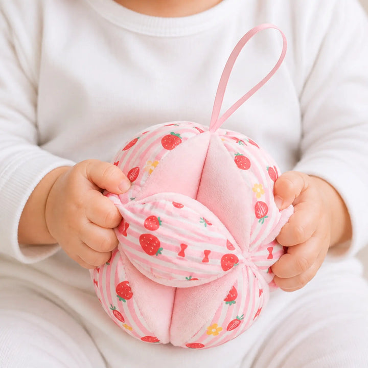 [PRE-ORDER] Baby Montessori Puzzle Ball