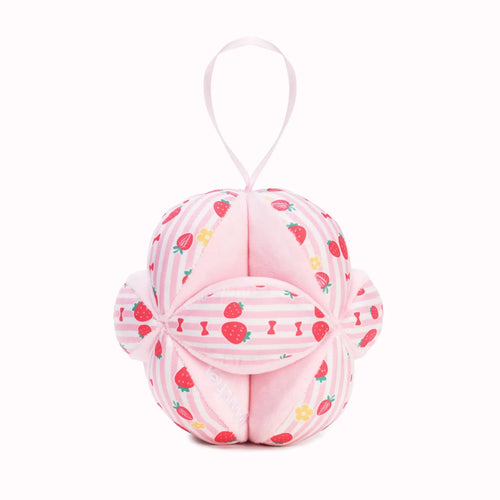 [PRE-ORDER] Baby Montessori Puzzle Ball